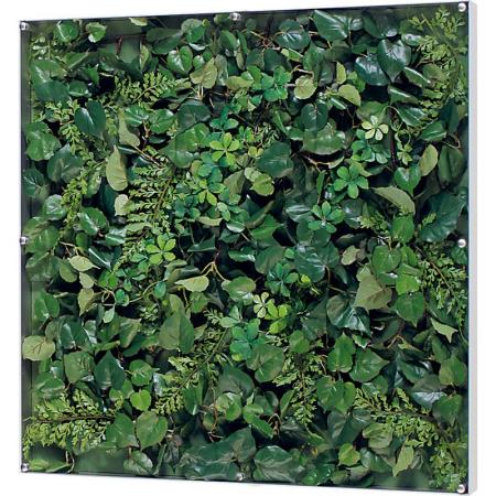 【直送】【人工観葉植物】ベルク/ウォールグリーン シルバー/GR3567 ※返品・代引・キャンセル不可・個人宅配送不可