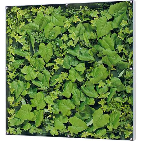 【直送】【人工観葉植物】ベルク/ウォールグリーン シルバー/GR3568 ※返品・代引・キャンセル不可・個人宅配送不可