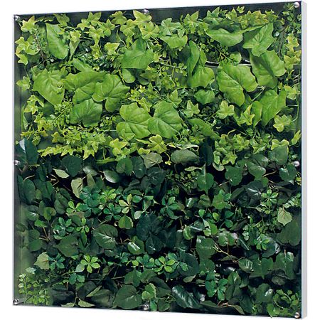 【直送】【人工観葉植物】ベルク/ウォールグリーン シルバー/GR3569 ※返品・代引・キャンセル不可・個人宅配送不可