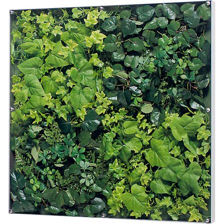 【直送】【人工観葉植物】ベルク/ウォールグリーン シルバー/GR3570 ※返品・代引・キャンセル不可・個人宅配送不可