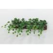 【直送】【人工観葉植物】ベルク/ウォールポット セピア/GR4045 ※返品・代引・キャンセル不可・個人宅配送不可