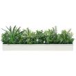 【直送】【人工観葉植物】ベルク/ウォールポット 白/GR4340 ※返品・代引・キャンセル不可・個人宅配送不可