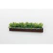 【直送】【人工観葉植物】ベルク/ウォールポット 白/GR4341 ※返品・代引・キャンセル不可・個人宅配送不可