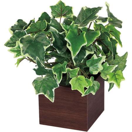 【直送】【人工観葉植物】ベルク/卓上ポット セピア/GR4386 ※返品・代引・キャンセル不可・個人宅配送不可