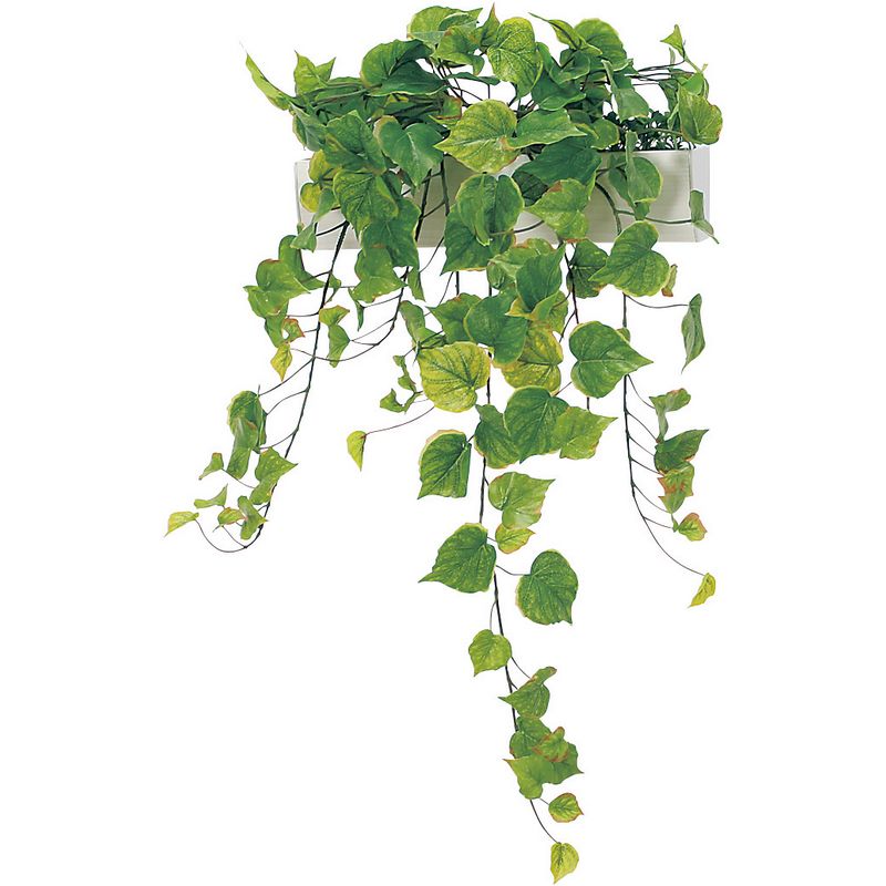 【直送】【人工観葉植物】ベルク/パーテーションポット 白/GR4423 ※返品・代引・キャンセル不可・個人宅配送不可