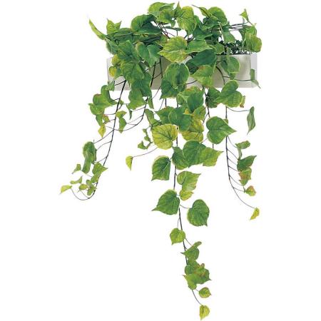 【直送】【人工観葉植物】ベルク/パーテーションポット 白/GR4423 ※返品・代引・キャンセル不可・個人宅配送不可
