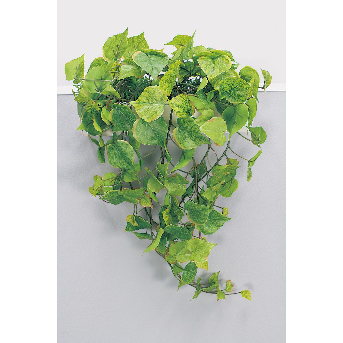 【直送】【人工観葉植物】ベルク/パーテーションポット 白/GR4423 ※返品・代引・キャンセル不可・個人宅配送不可