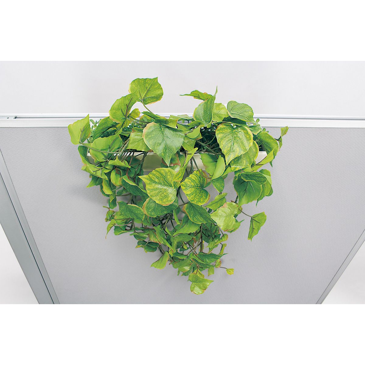 【直送】【人工観葉植物】ベルク/パーテーションポット 白/GR4423 ※返品・代引・キャンセル不可・個人宅配送不可