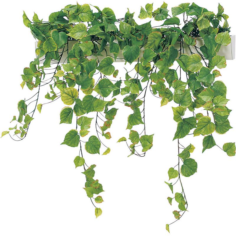 【直送】【人工観葉植物】ベルク/パーテーションポット 白/GR4424 ※返品・代引・キャンセル不可・個人宅配送不可