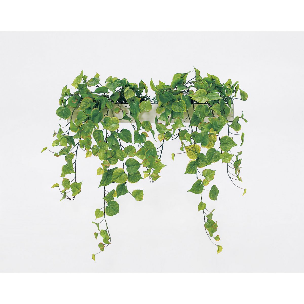 【直送】【人工観葉植物】ベルク/パーテーションポット 白/GR4424 ※返品・代引・キャンセル不可・個人宅配送不可