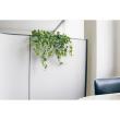 【直送】【人工観葉植物】ベルク/パーテーションポット 白/GR4424 ※返品・代引・キャンセル不可・個人宅配送不可