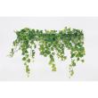 【直送】【人工観葉植物】ベルク/パーテーションポット 白/GR4425 ※返品・代引・キャンセル不可・個人宅配送不可