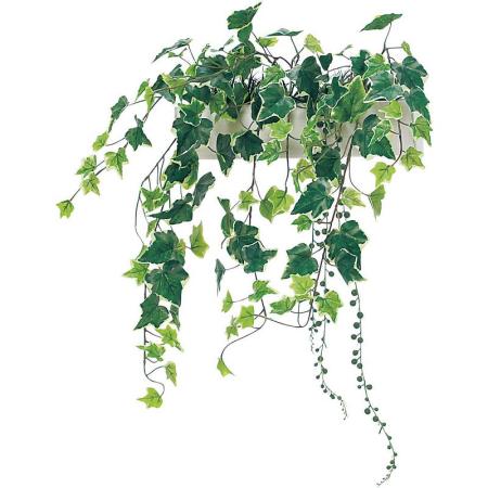 【直送】【人工観葉植物】ベルク/パーテーションポット 白/GR4426 ※返品・代引・キャンセル不可・個人宅配送不可