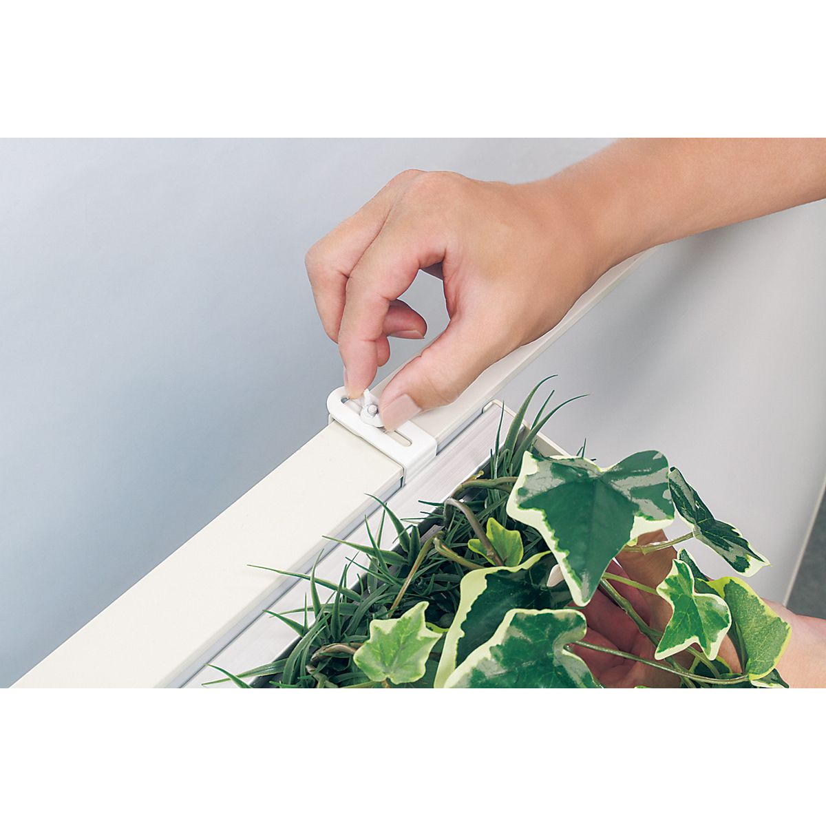 【直送】【人工観葉植物】ベルク/パーテーションポット 白/GR4426 ※返品・代引・キャンセル不可・個人宅配送不可