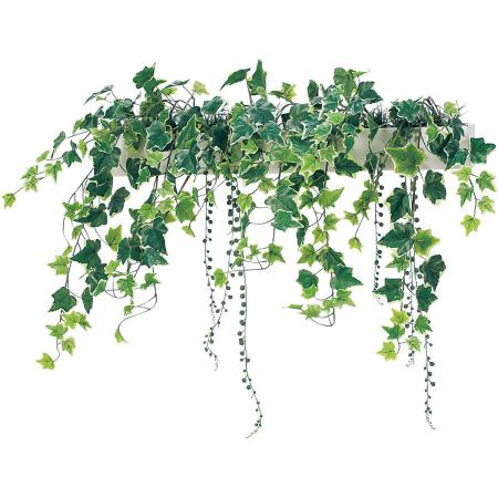 【直送】【人工観葉植物】ベルク/パーテーションポット 白/GR4427 ※返品・代引・キャンセル不可・個人宅配送不可