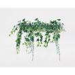 【直送】【人工観葉植物】ベルク/パーテーションポット 白/GR4427 ※返品・代引・キャンセル不可・個人宅配送不可