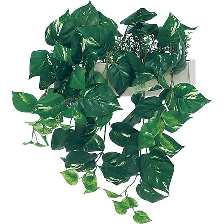 【直送】【人工観葉植物】ベルク/パーテーションポット 白/GR4429 ※返品・代引・キャンセル不可・個人宅配送不可