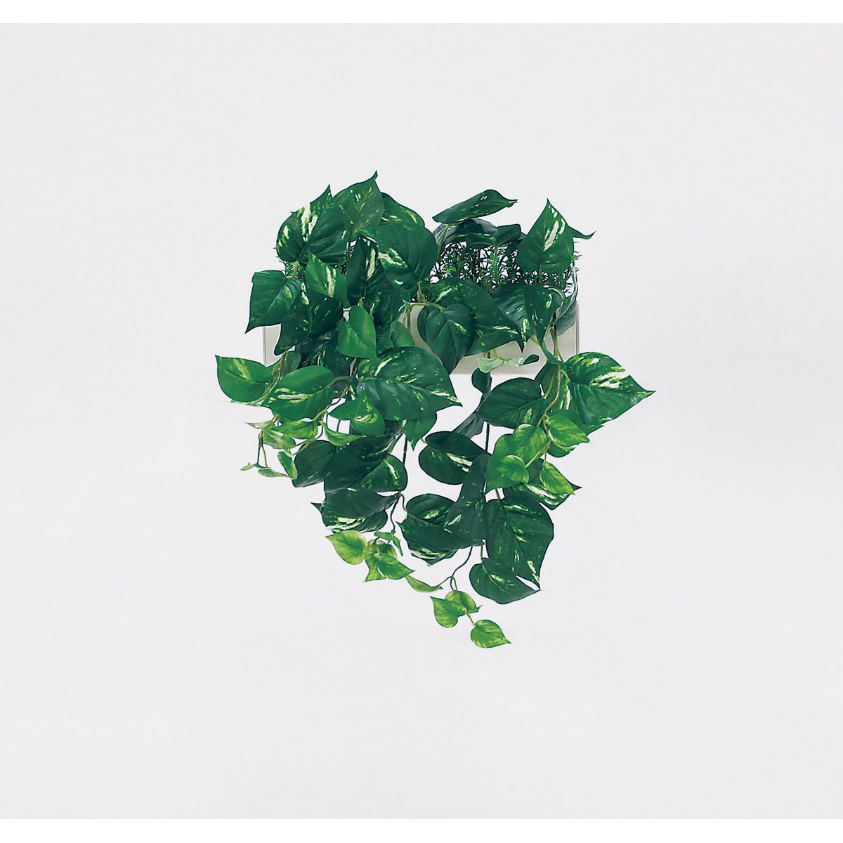【直送】【人工観葉植物】ベルク/パーテーションポット 白/GR4429 ※返品・代引・キャンセル不可・個人宅配送不可