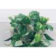 【直送】【人工観葉植物】ベルク/パーテーションポット 白/GR4429 ※返品・代引・キャンセル不可・個人宅配送不可