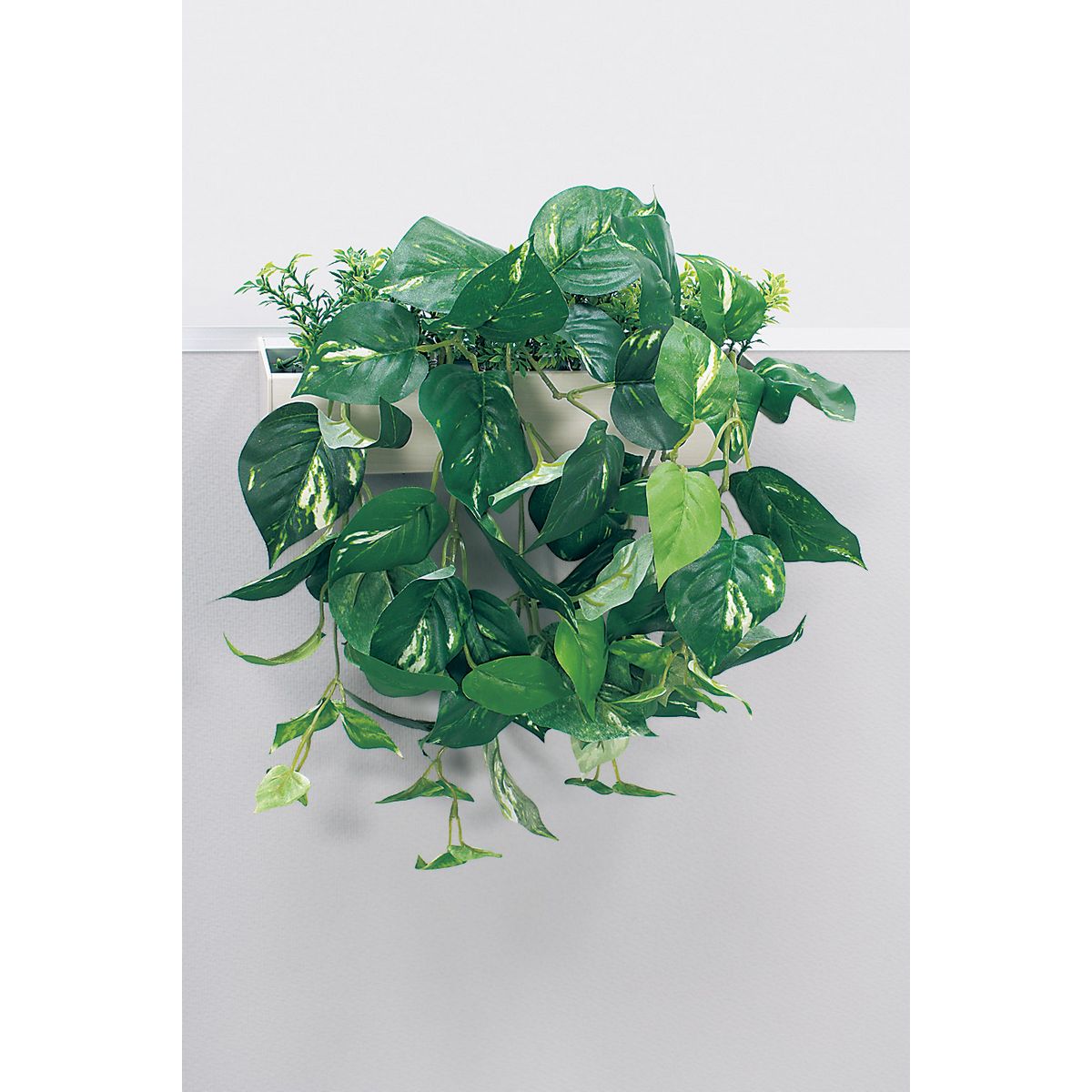 【直送】【人工観葉植物】ベルク/パーテーションポット 白/GR4429 ※返品・代引・キャンセル不可・個人宅配送不可