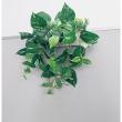 【直送】【人工観葉植物】ベルク/パーテーションポット 白/GR4429 ※返品・代引・キャンセル不可・個人宅配送不可