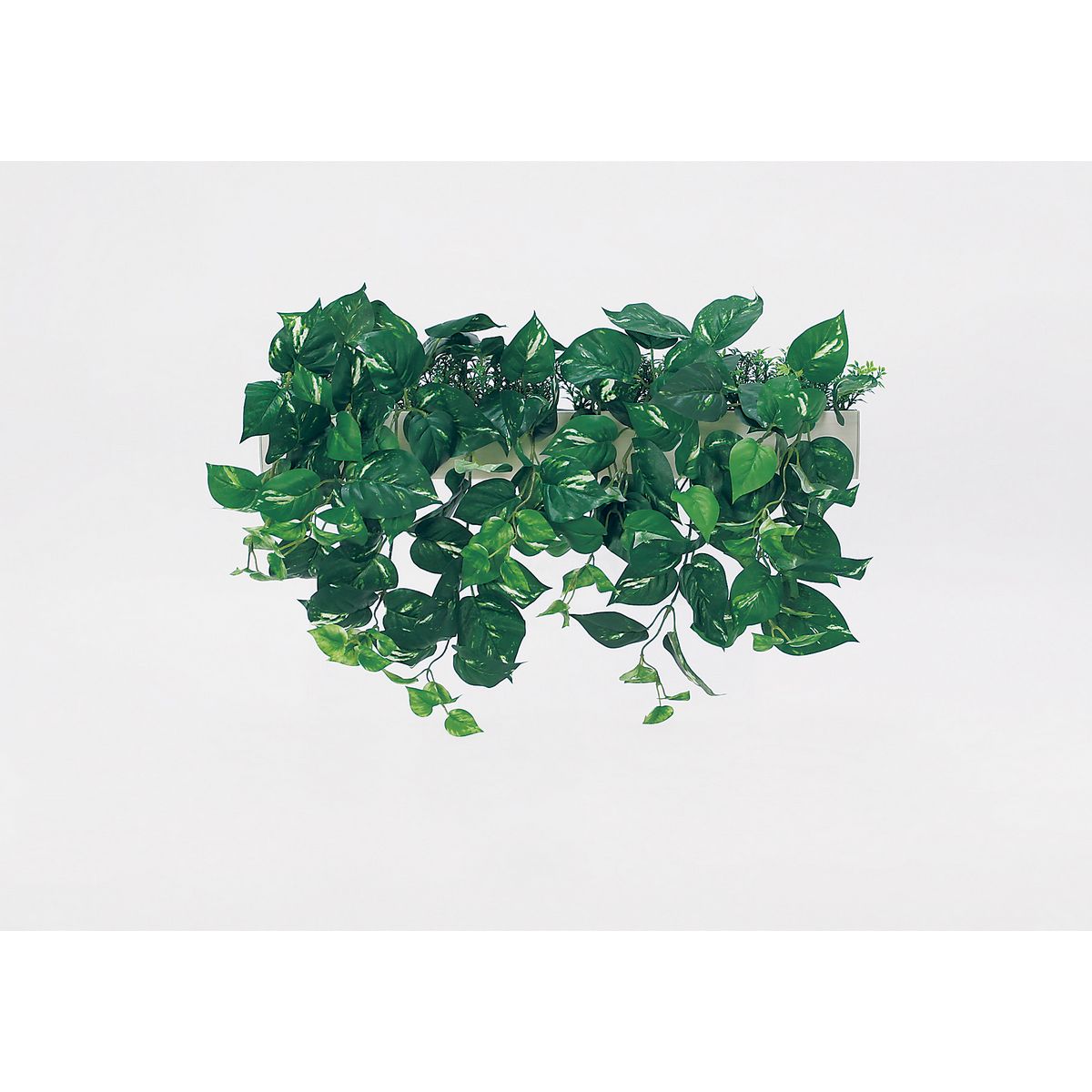 特価◎【直送】【人工観葉植物】ベルク/パーテーションポット 白/GR4430 ※返品・代引・キャンセル不可・個人宅配送不可