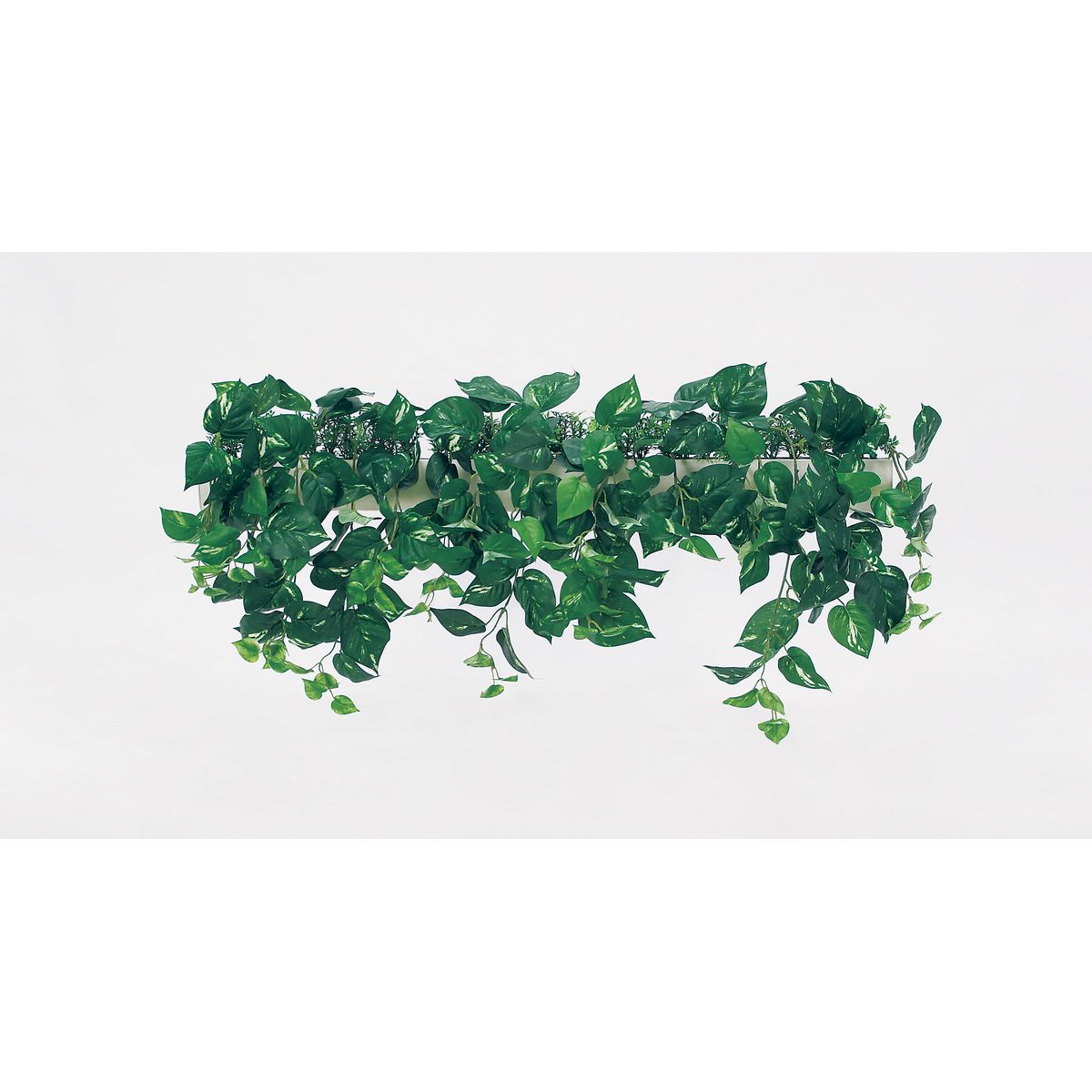 【直送】【人工観葉植物】ベルク/パーテーションポット 白/GR4431 ※返品・代引・キャンセル不可・個人宅配送不可