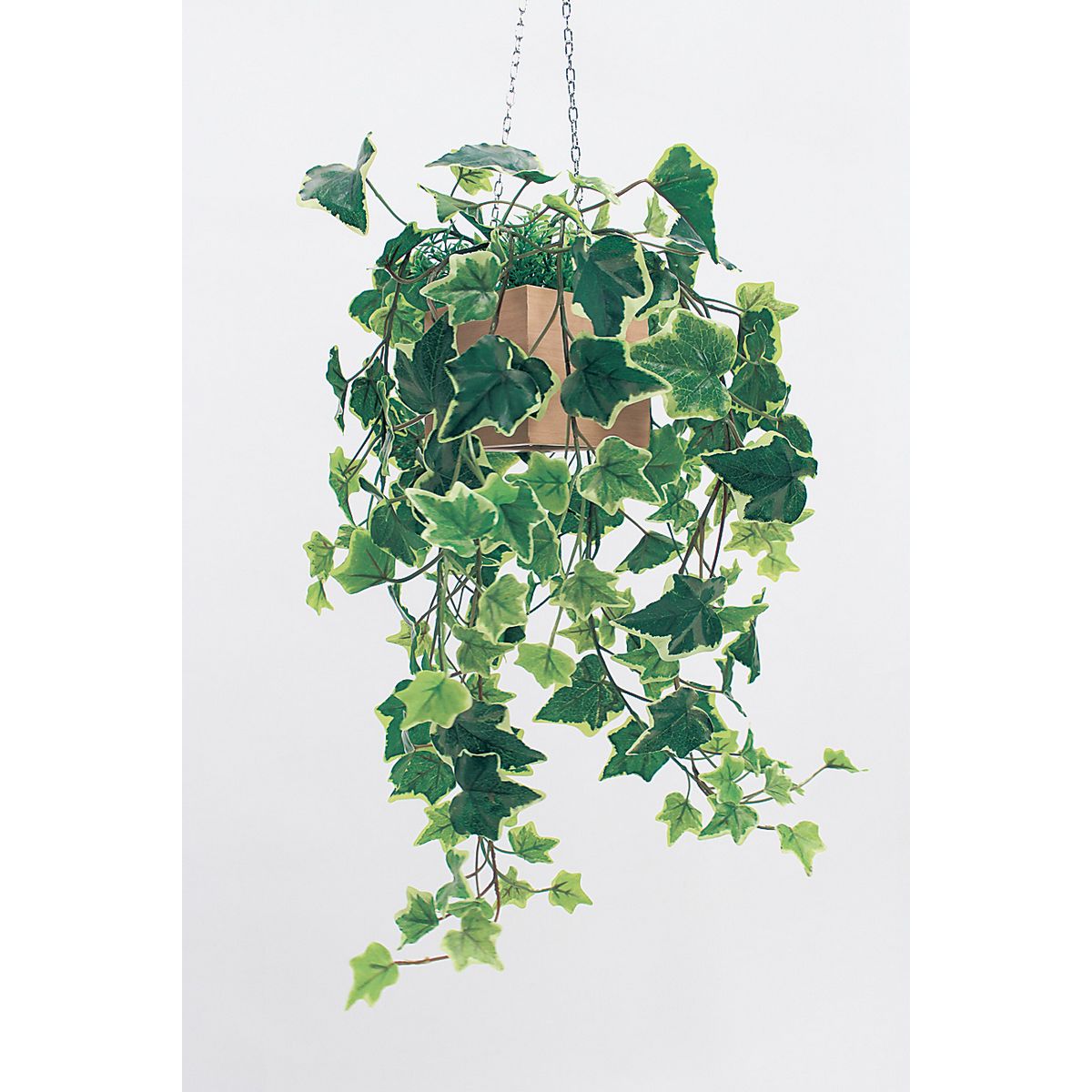 【直送】【人工観葉植物】ベルク/パーテーションポット ナチュラル/GR4432 ※返品・代引・キャンセル不可・個人宅配送不可