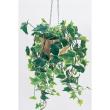 【直送】【人工観葉植物】ベルク/パーテーションポット ナチュラル/GR4432 ※返品・代引・キャンセル不可・個人宅配送不可
