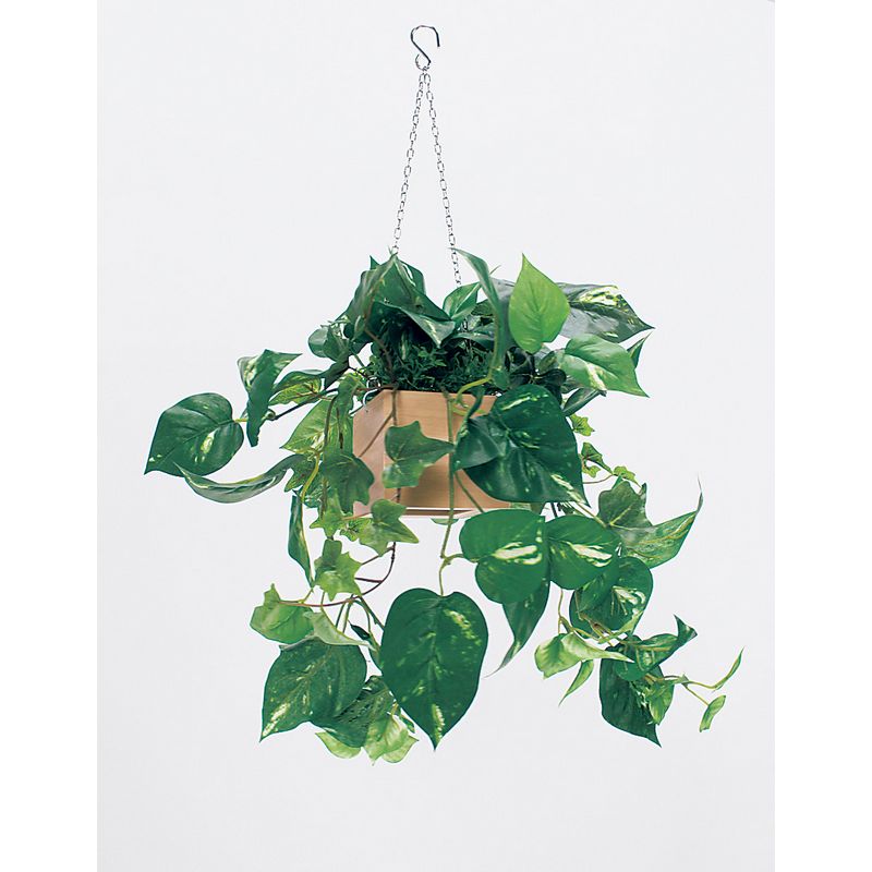 【直送】【人工観葉植物】ベルク/パーテーションポット ナチュラル/GR4435 ※返品・代引・キャンセル不可・個人宅配送不可
