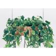 【直送】【人工観葉植物】ベルク/吊り下げポット ナチュラル/GR4456 ※返品・代引・キャンセル不可・個人宅配送不可