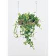 【直送】【人工観葉植物】ベルク/吊り下げポット ナチュラル/GR4457 ※返品・代引・キャンセル不可・個人宅配送不可