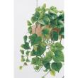 【直送】【人工観葉植物】ベルク/吊り下げポット ナチュラル/GR4457 ※返品・代引・キャンセル不可・個人宅配送不可