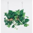 【直送】【人工観葉植物】ベルク/吊り下げポット ナチュラル/GR4459 ※返品・代引・キャンセル不可・個人宅配送不可