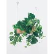 【直送】【人工観葉植物】ベルク/吊り下げポット ナチュラル/GR4459 ※返品・代引・キャンセル不可・個人宅配送不可