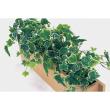 【直送】【人工観葉植物】ベルク/卓上ポット ナチュラル/GR4460 ※返品・代引・キャンセル不可・個人宅配送不可