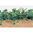 【直送】【人工観葉植物】ベルク/卓上ポット ナチュラル/GR4460 ※返品・代引・キャンセル不可・個人宅配送不可