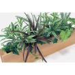 【直送】【人工観葉植物】ベルク/卓上ポット ナチュラル/GR4462 ※返品・代引・キャンセル不可・個人宅配送不可