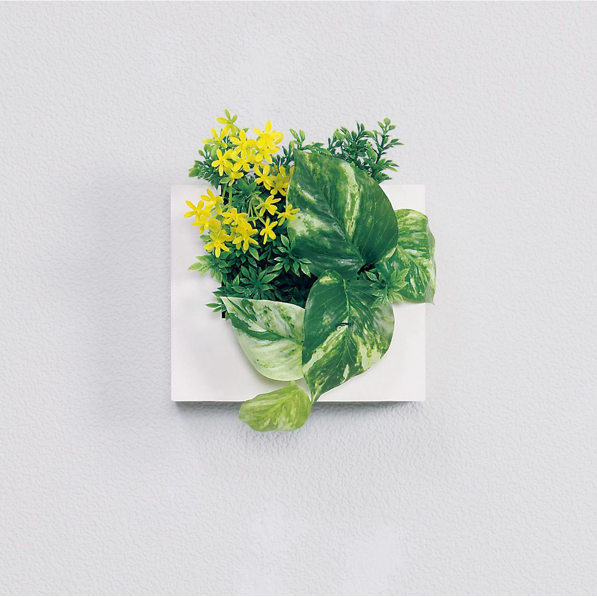 【直送】【人工観葉植物】ベルク/ウォールポット 白/GR4468 ※返品・代引・キャンセル不可・個人宅配送不可
