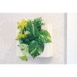 【直送】【人工観葉植物】ベルク/ウォールポット 白/GR4468 ※返品・代引・キャンセル不可・個人宅配送不可