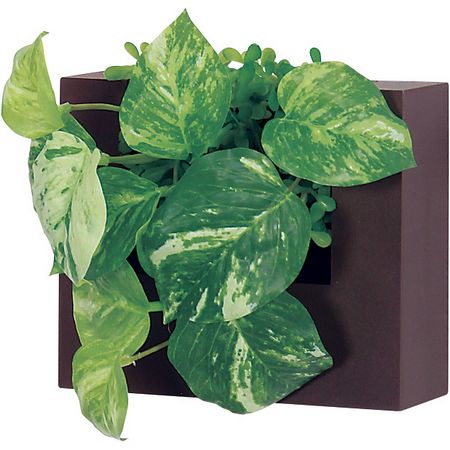 【直送】【人工観葉植物】ベルク/ウォールポット セピア/GR4470 ※返品・代引・キャンセル不可・個人宅配送不可