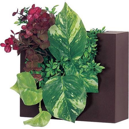 【直送】【人工観葉植物】ベルク/ウォールポット セピア/GR4471 ※返品・代引・キャンセル不可・個人宅配送不可