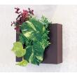 【直送】【人工観葉植物】ベルク/ウォールポット セピア/GR4471 ※返品・代引・キャンセル不可・個人宅配送不可