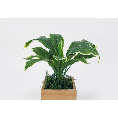 特価◎【直送】【人工観葉植物】ベルク/卓上ポット ナチュラル/GR4478 ※返品・代引・キャンセル不可・個人宅配送不可