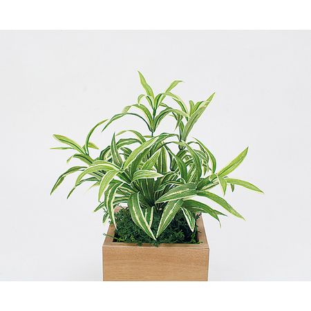 【直送】【人工観葉植物】ベルク/卓上ポット ナチュラル/GR4480 ※返品・代引・キャンセル不可・個人宅配送不可