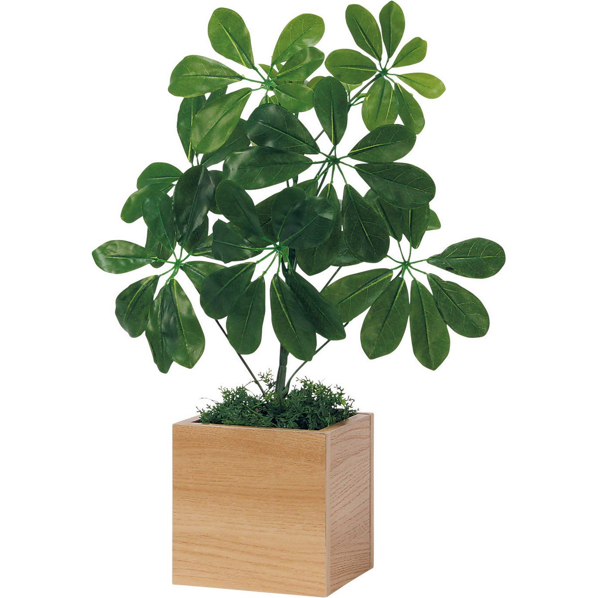 【直送】【人工観葉植物】ベルク/卓上ポット ナチュラル/GR4482 ※返品・代引・キャンセル不可・個人宅配送不可