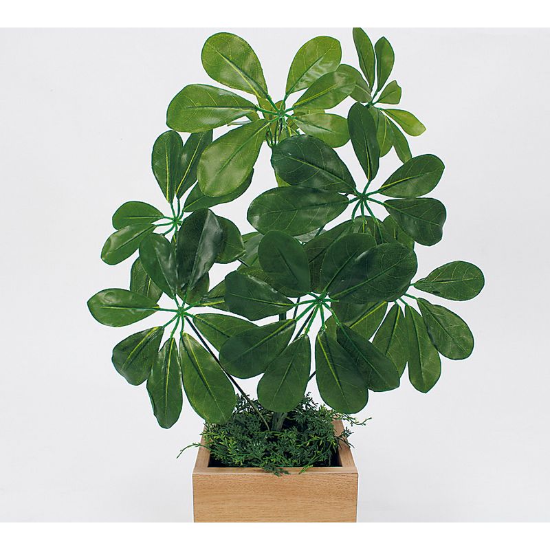 【直送】【人工観葉植物】ベルク/卓上ポット ナチュラル/GR4482 ※返品・代引・キャンセル不可・個人宅配送不可