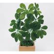 【直送】【人工観葉植物】ベルク/卓上ポット ナチュラル/GR4482 ※返品・代引・キャンセル不可・個人宅配送不可