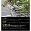 特価◎【直送】住まいスタイル/マグネシウムプランター Old Basket(オールドバスケット) ホワイト/BSPL-400WHT