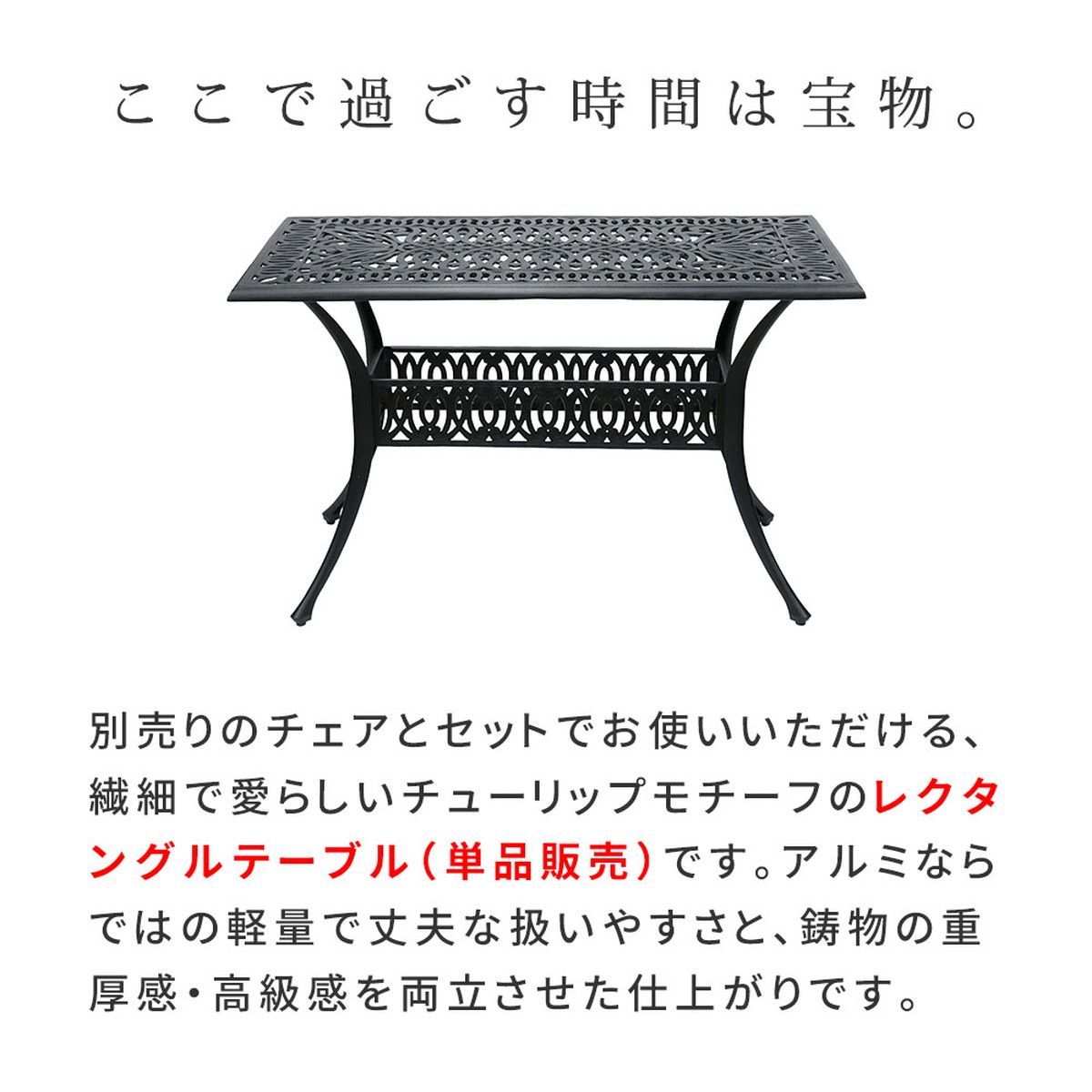 特価◎【直送】住まいスタイル/アルミ製レクタングルテーブル 単品販売 「トルペ」 マットブラック/BKS-RG124BLK